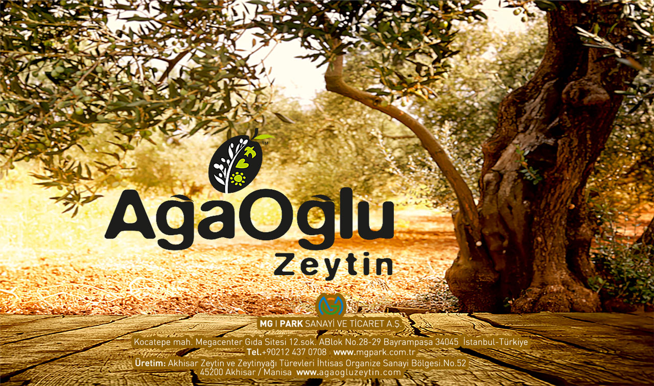 Ağaoğlu