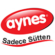 Aynes